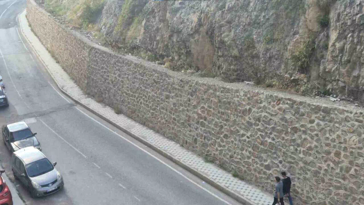 Gümüşhane dağlarının süsü yaban keçileri şehrin de süsü oldu
