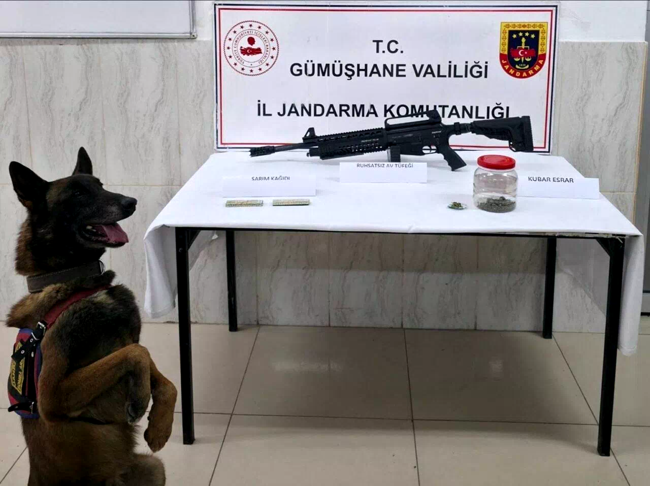 Gümüşhane’de jandarmadan uyuşturucu ve ruhsatsız silah operasyonu
