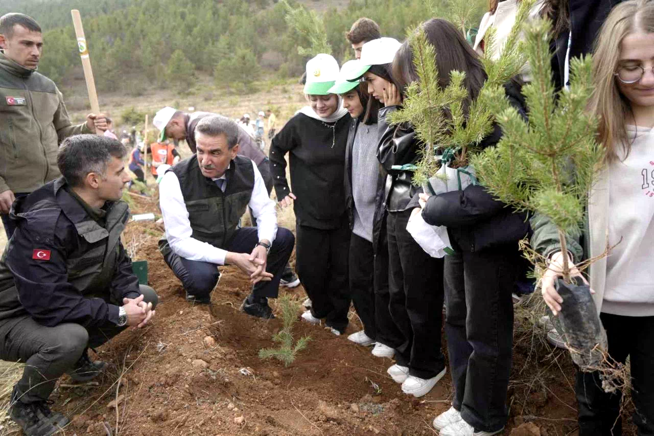 Gümüşhane’de Milli Ağaçlandırma Günü kapsamında fidanlar dikildi