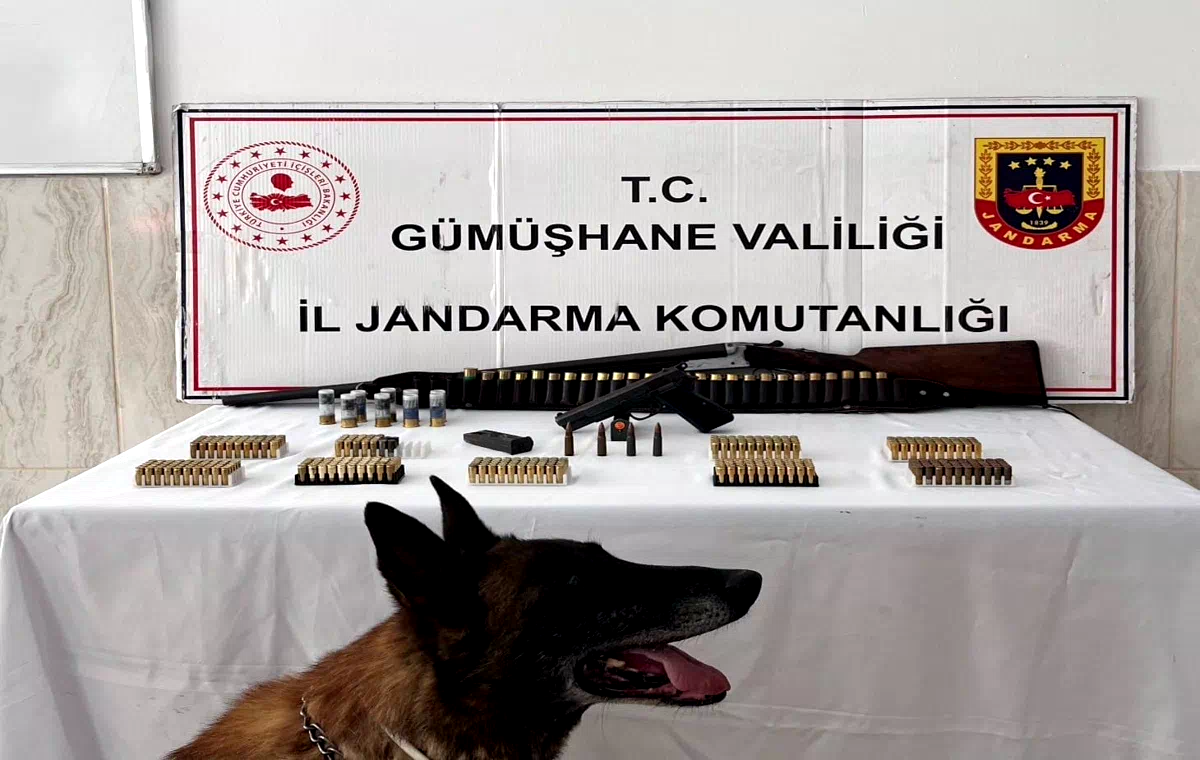 Gümüşhane’de ruhsatsız silah ve çok sayıda mühimmat ele geçirildi