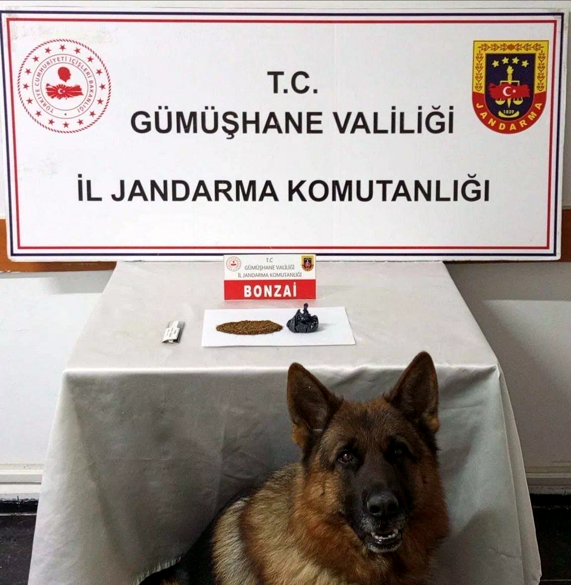 Gümüşhane’de uyuşturucu operasyonu