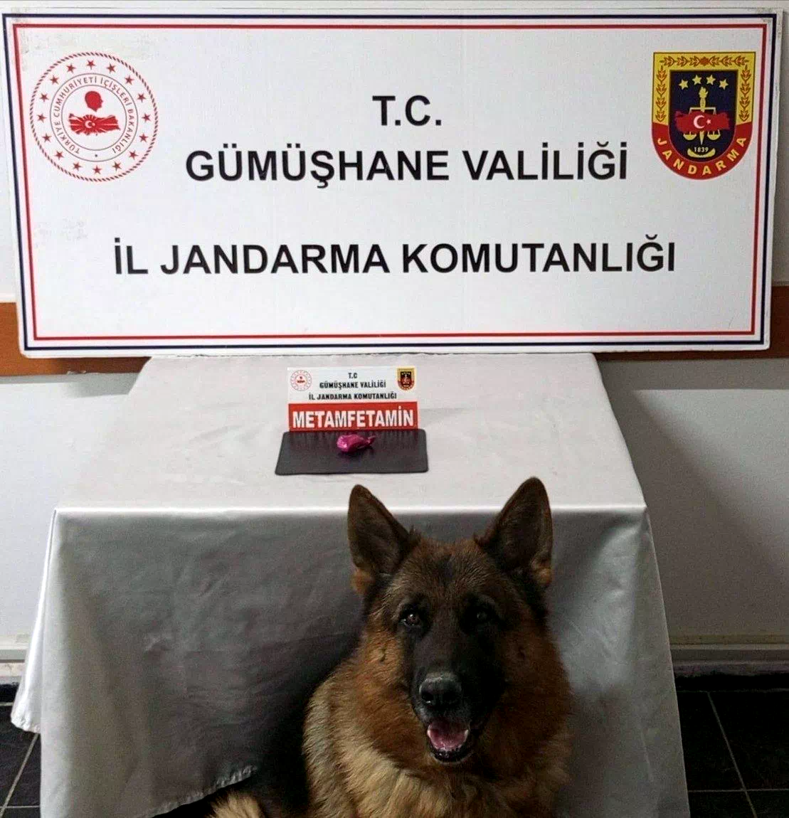 Gümüşhane’de uyuşturucu operasyonunda 2 şahıs yakalandı