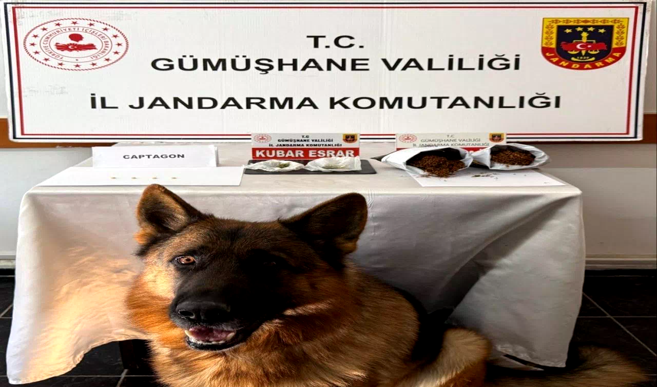 Gümüşhane’de uyuşturucu operasyonunda 4 kişi yakalandı