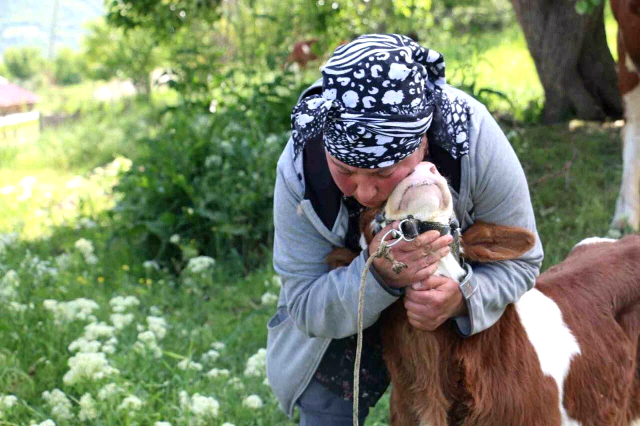 Gürcistanlı Nino, Erzincan çiftçiliğine renk katıyor