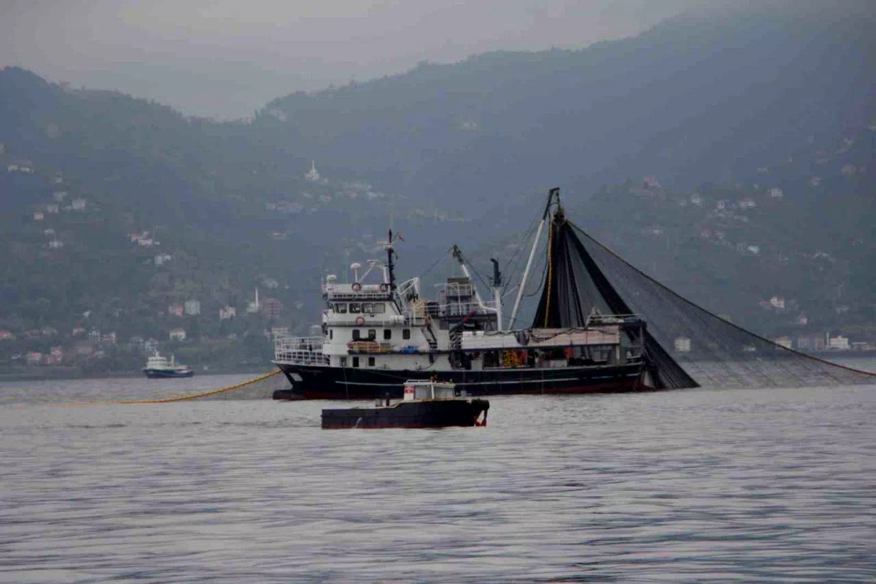 Hamside tehlike çanları çalıyor