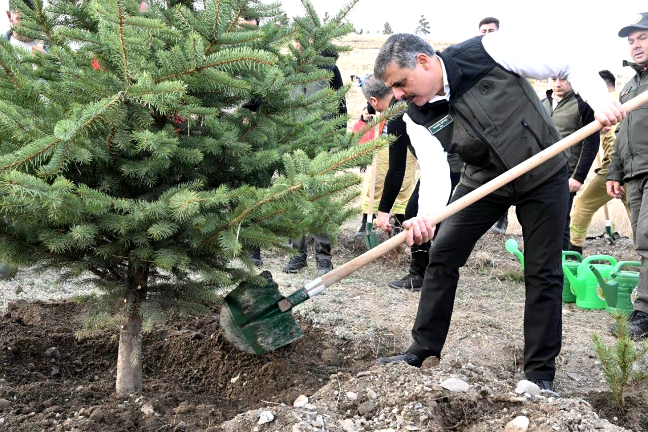 “Hastaya kan, ormana can”