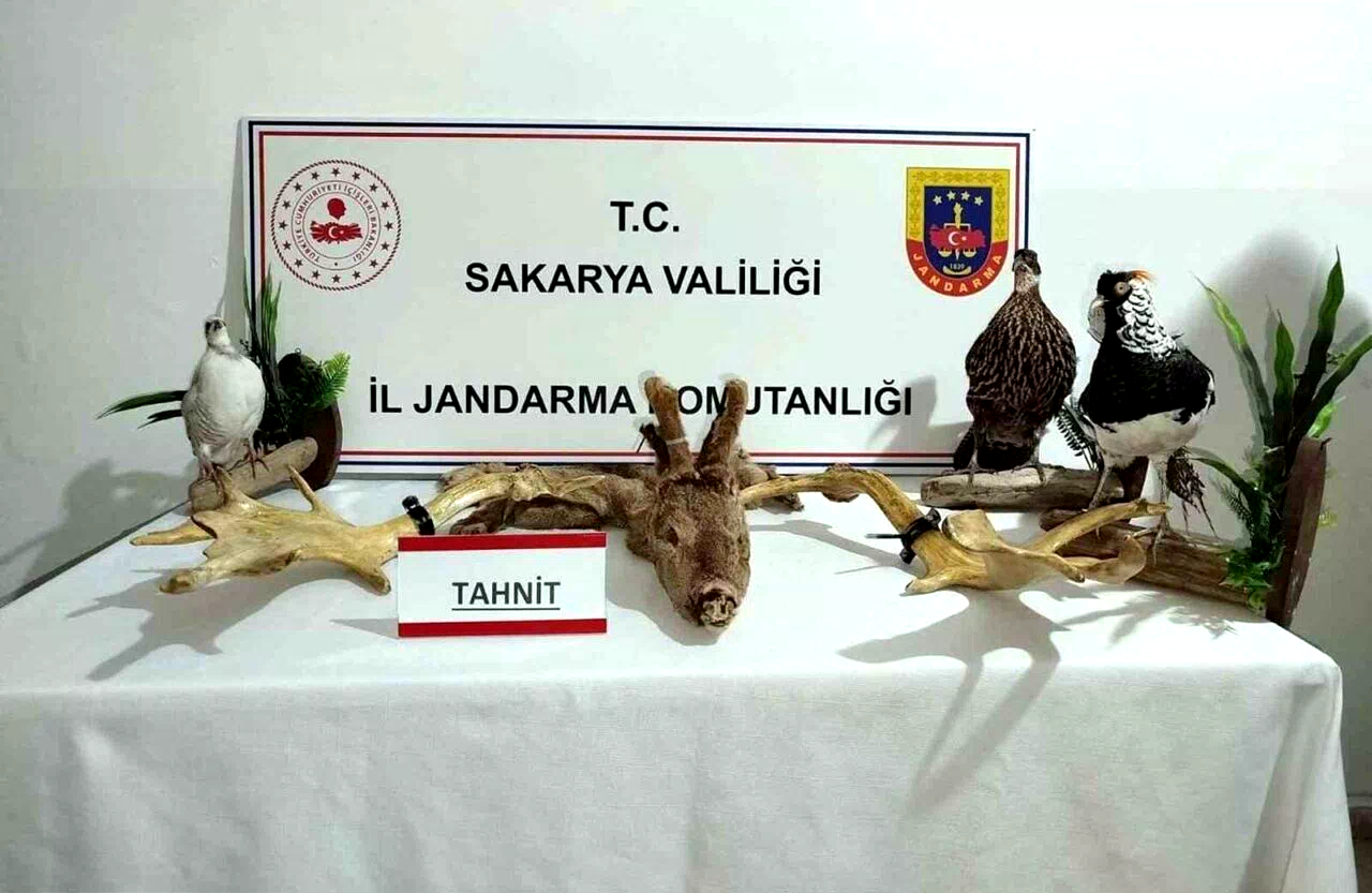 Hayvanat bahçesi gibi ev: Evinden çıkanlar hayrete düşürdü