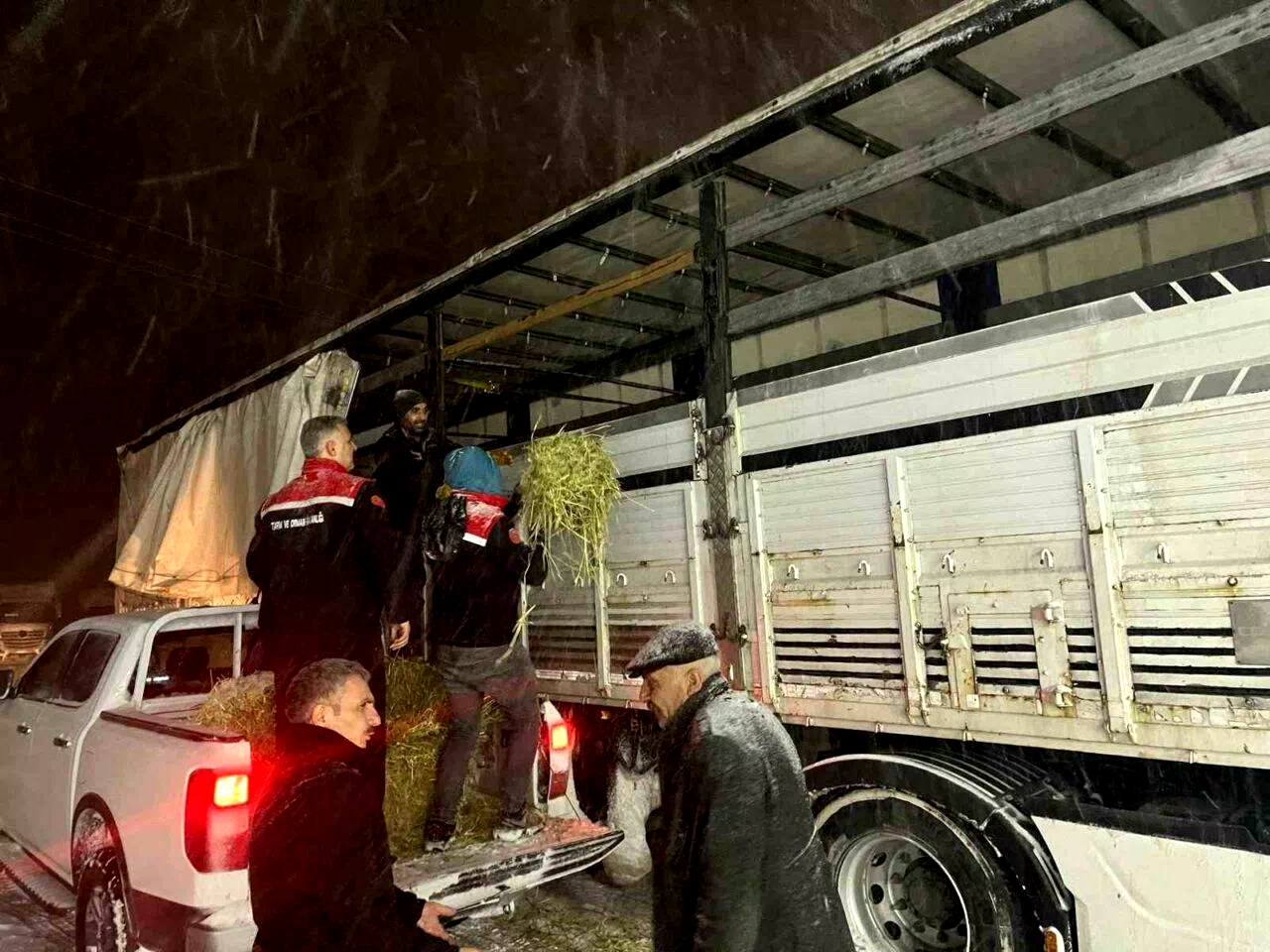 Hayvanlar aç kalmasın diye imdada yetiştiler