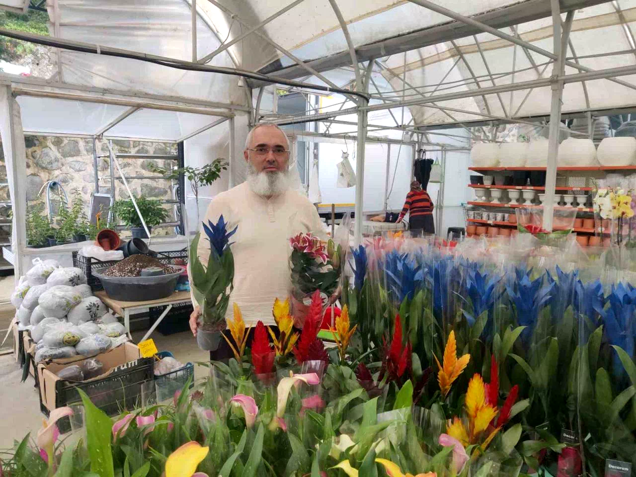 Her şey bir kaktüs ile başladı