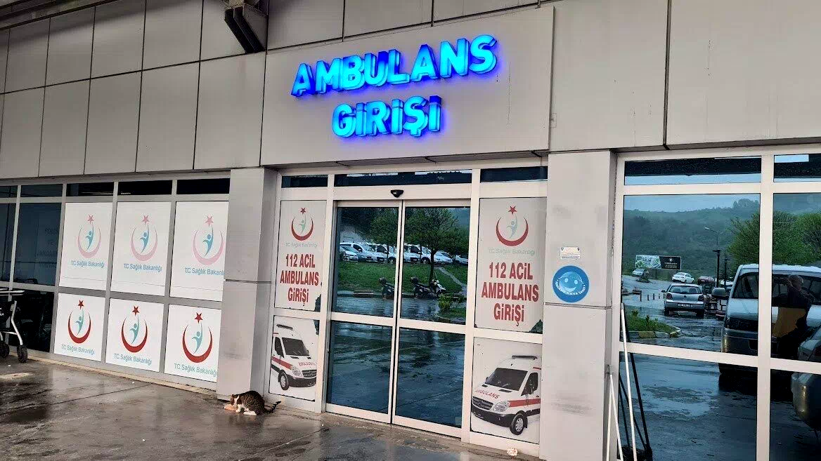 Ihlamur ağacından düşen kadın yaralandı
