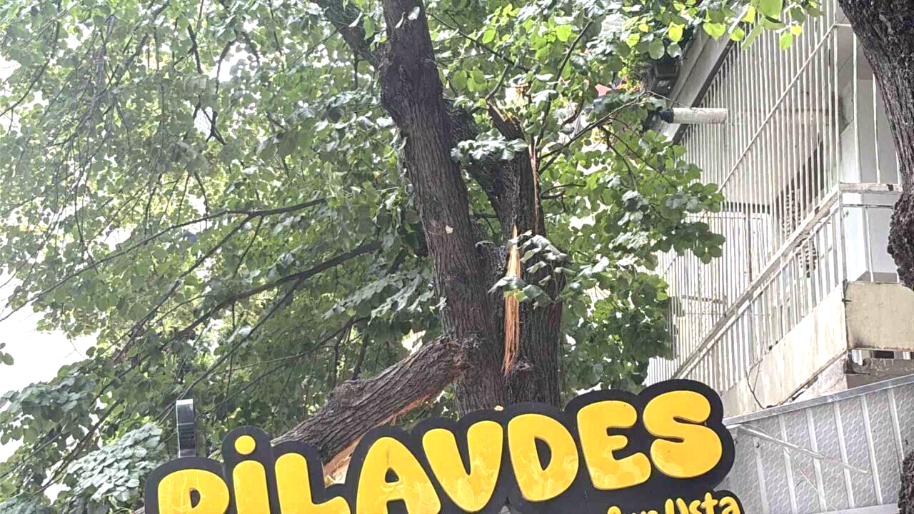 İzmit’te lokantanın üzerine devrilen ağaç dalları çatıda hasara yol açtı