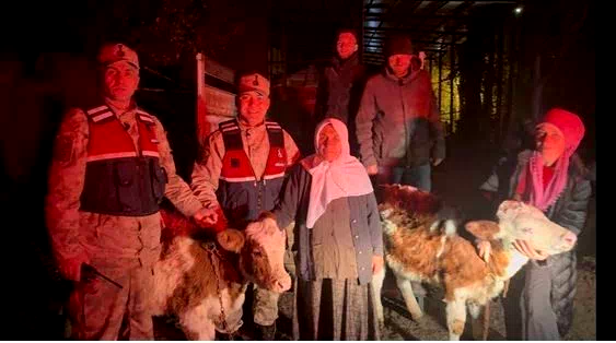 Jandarma çalınan hayvanları sahibine teslim etti