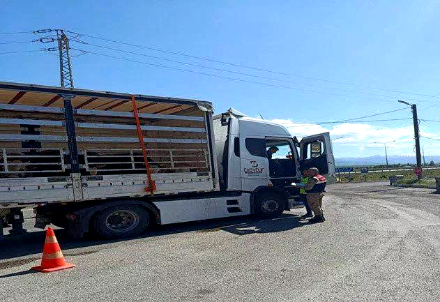 Jandarma ekiplerinden düzensiz göçmen operasyonu