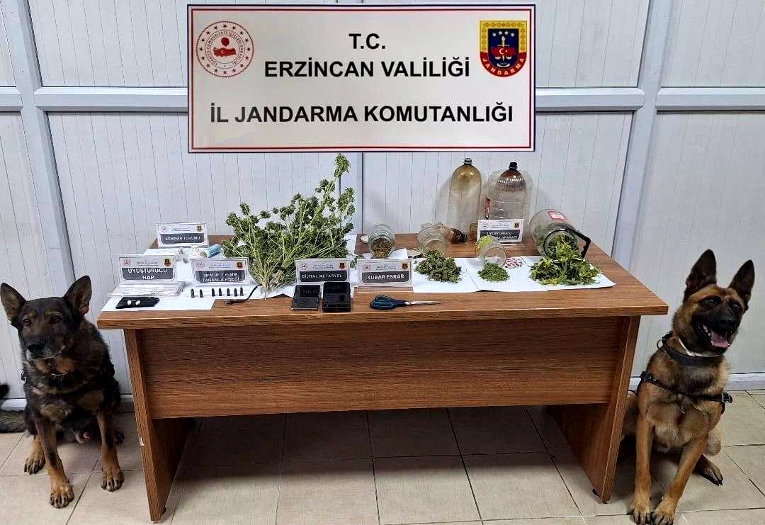 Jandarma Kasım ayı bilançosu: 124 olayın yüzde 93’ü aydınlatıldı