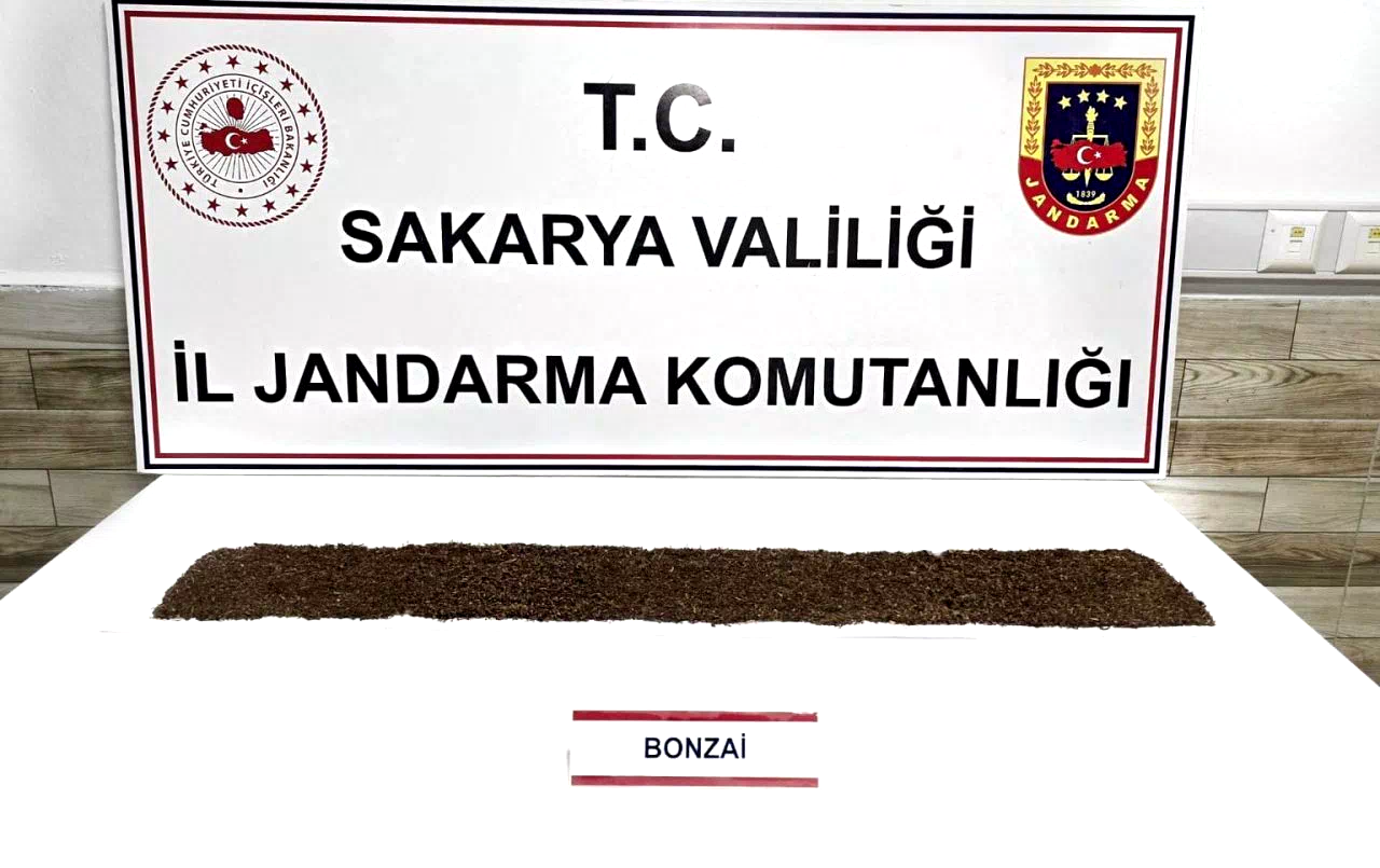 Jandarma uyuşturucuya geçit vermiyor: 1 tutuklama