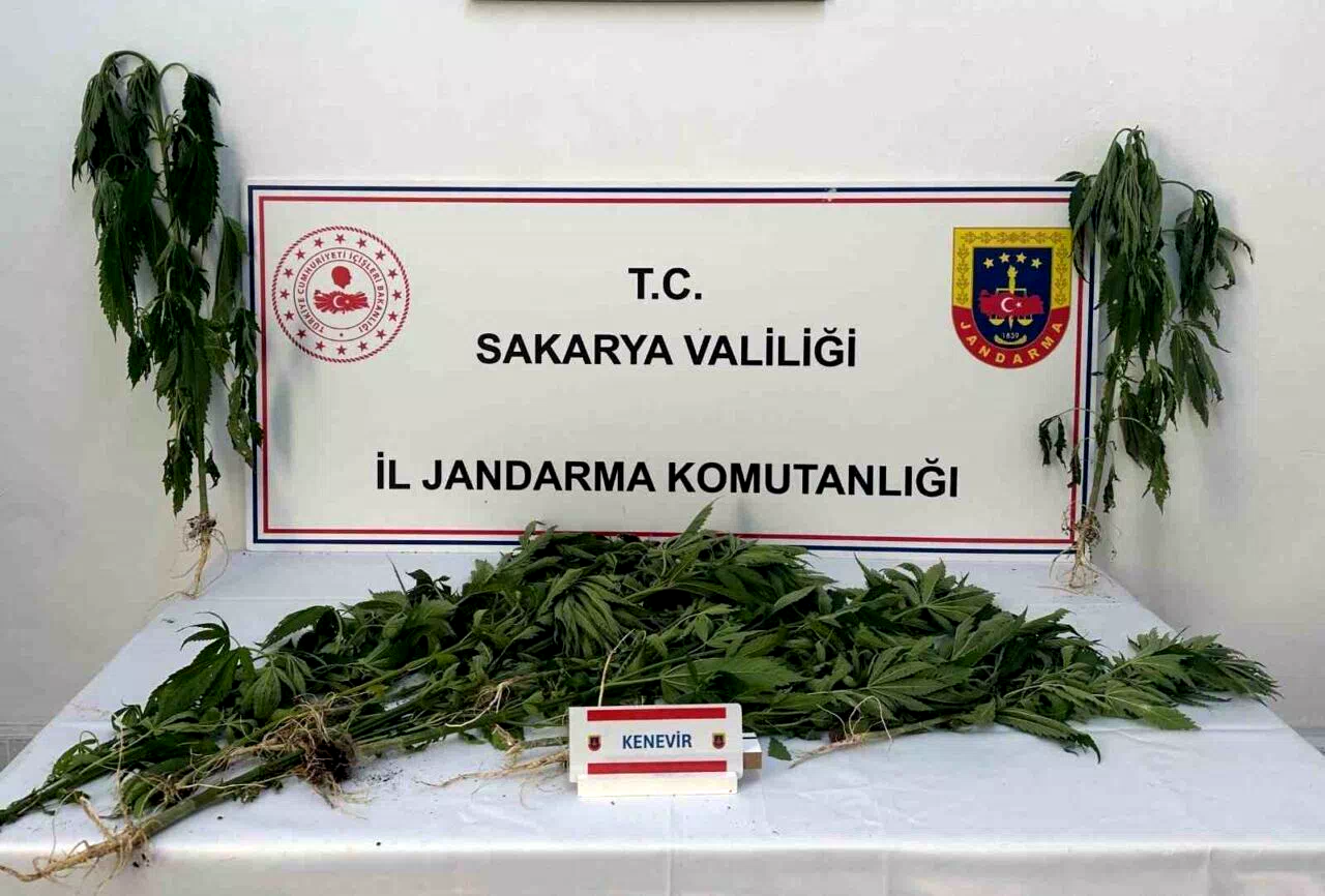 Jandarma uyuşturucuya geçit vermiyor: 3 tutuklama