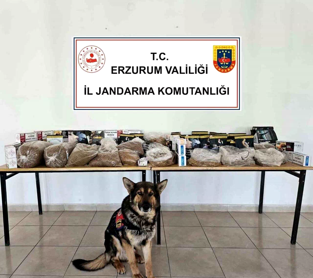 Jandarmadan kaçak tütün operasyonu