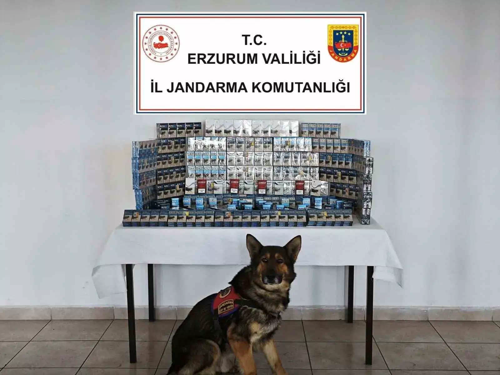 Jandarmadan kaçakçılara geçit yok