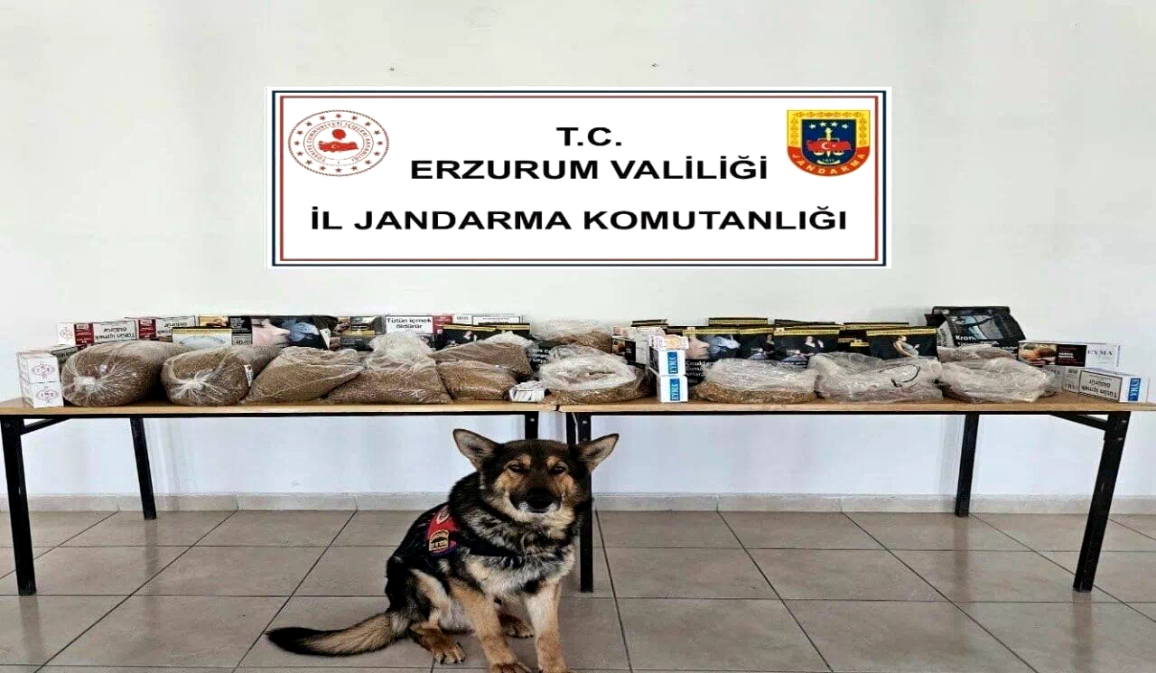 Jandarmadan kaçakçılara operasyon