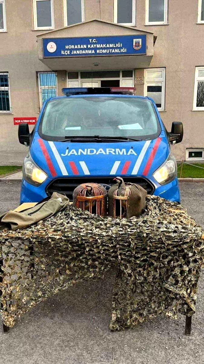 Jandarmadan yasa dışı keklik avcılarına suçüstü