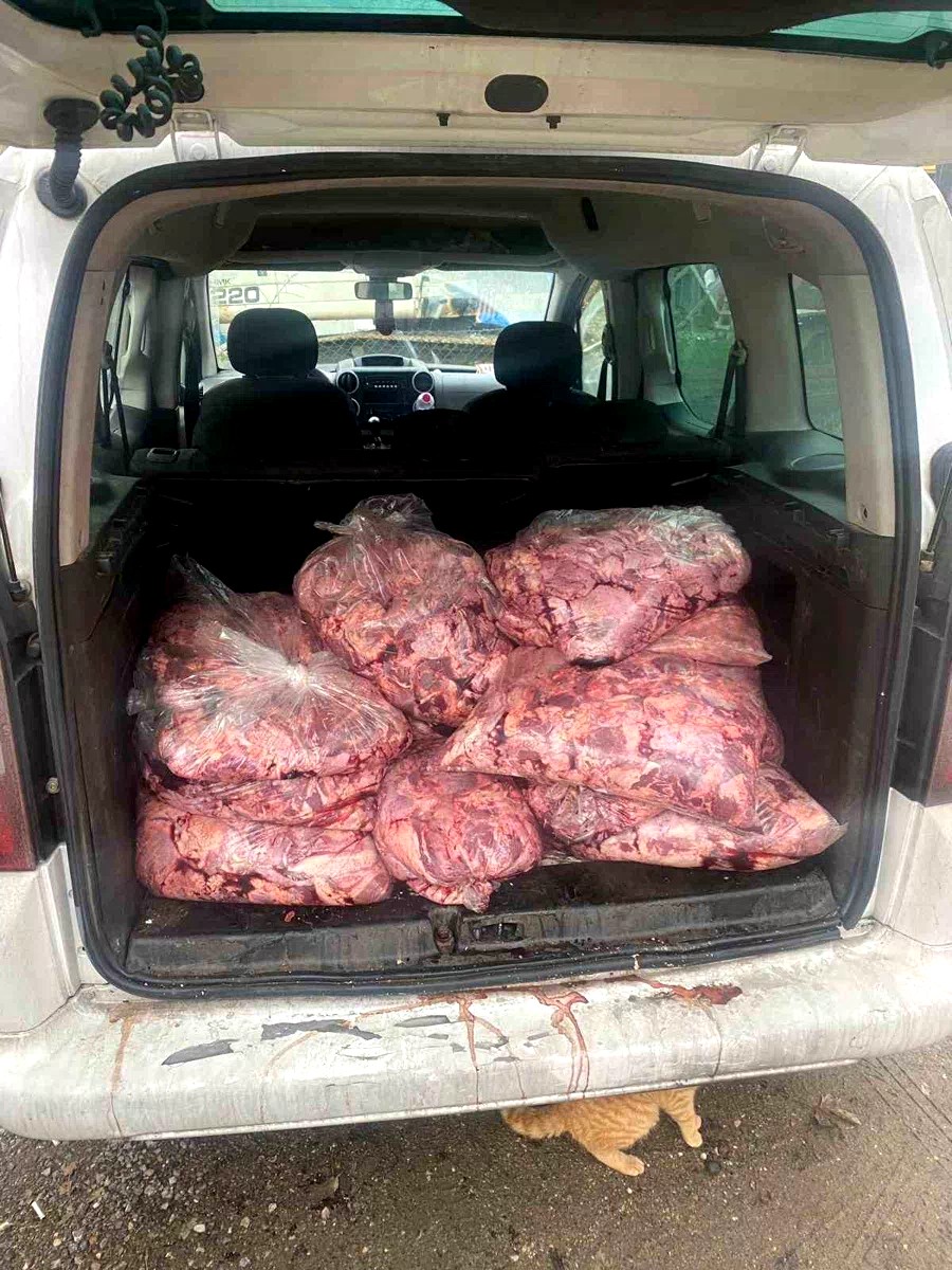 Jandarmanın durdurduğu araçtan 450 kilo bozulmuş et çıktı