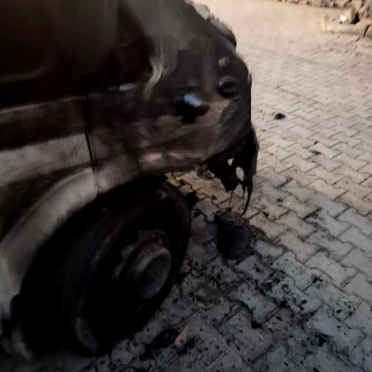 Kağızman da park halindeki 1 araç yandı