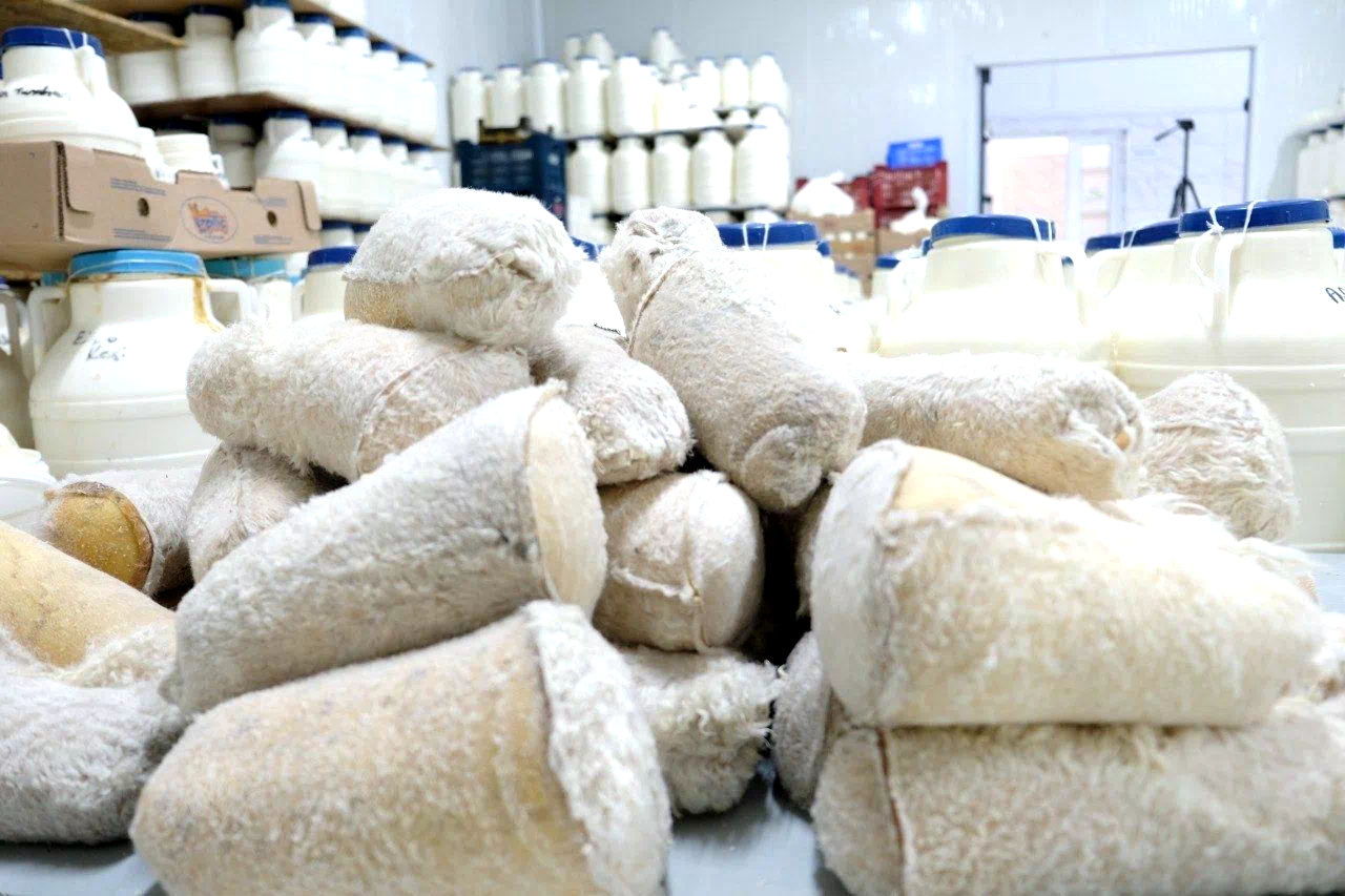 Kahvaltı sofralarına 3 bin rakımdan gelen lezzet: Erzincan tulum peyniri