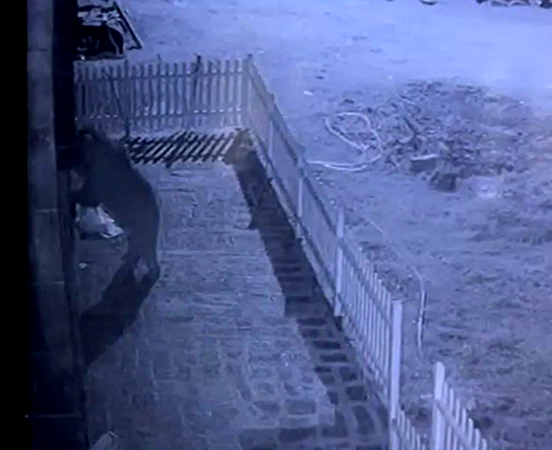 Kapıyı hırsız zorluyor sandı, gerçek güvenlik kamerası ile ortaya çıktı