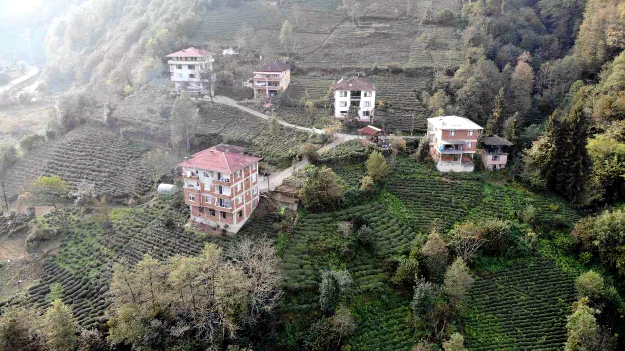 Karadeniz’de tuğlalı yapılar hem göze hem de cebe zarar