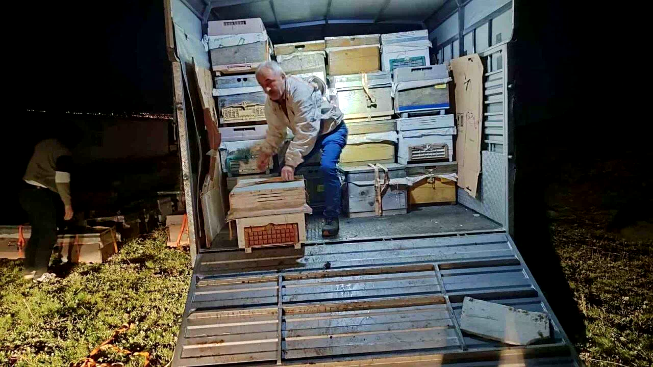 Karadeniz’in gezgin arıcıları yeni sezon için Doğu Anadolu’nun dağlarını mesken tuttu