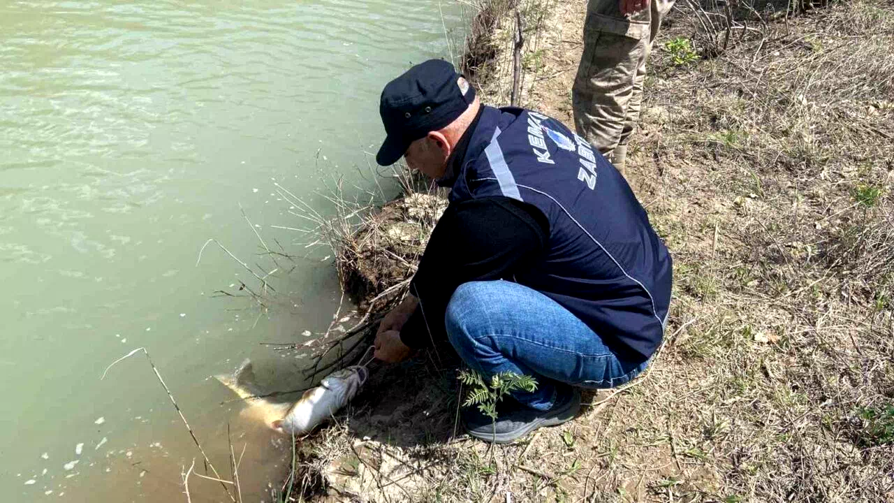 Karasu Nehri’nde kaçak avcılığa karşı denetim yapıldı