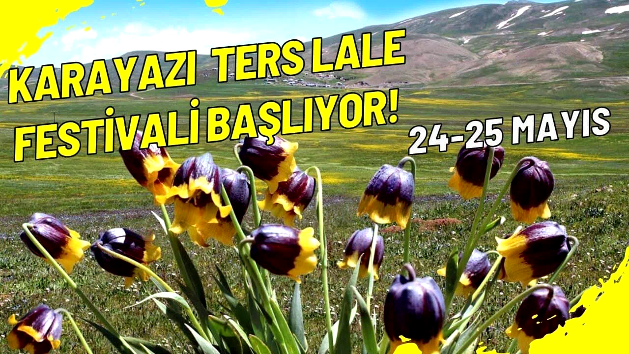 Karayazı ters lale festivali başlıyor;