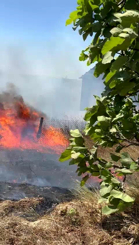 Karmürsel’den sonra Kandıra’da da yangın başladı