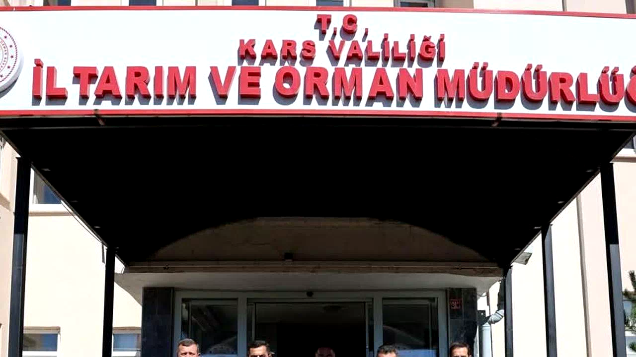 Kars'ta büyükbaş hayvan varlığı 604 bin 296