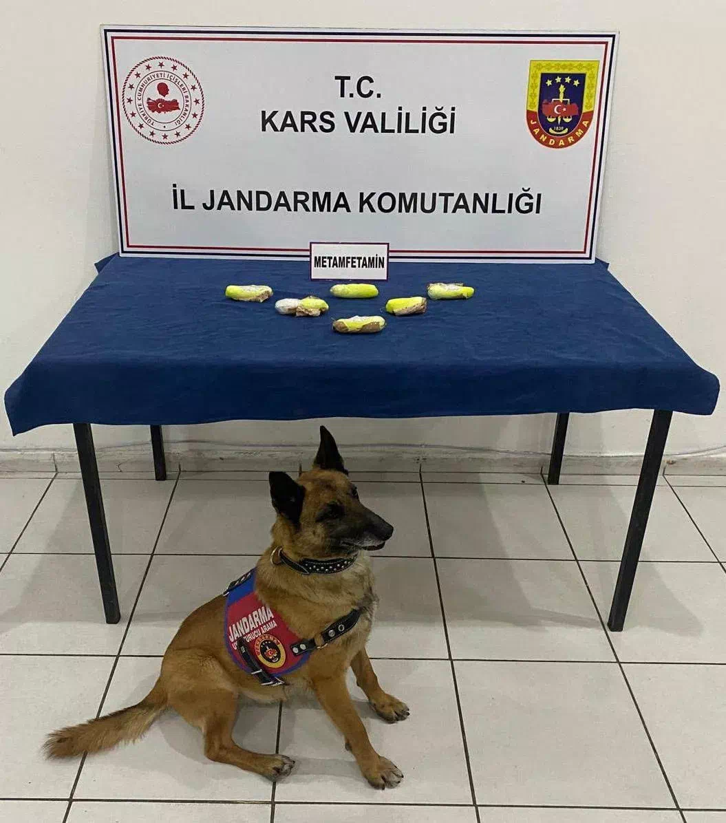 Kars İl Jandarma Komutanlığı, Uyuşturucu İle Mücadele Kapsamında Operasyonlarını Sürdürüyor