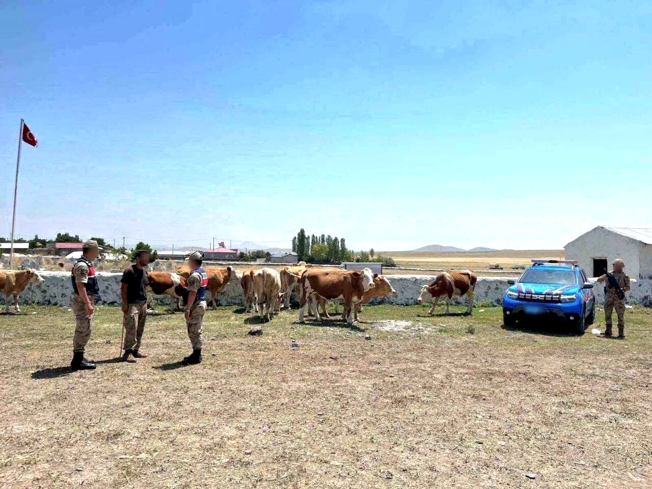 Kars’ta kaybolan büyükbaş hayvanlar bulundu