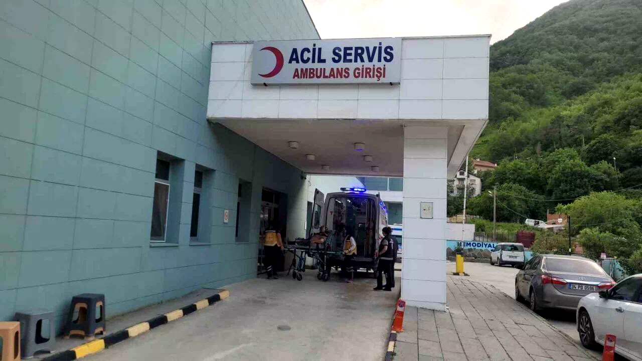 Kastamonu’da akrebin soktuğu kadın hastanelik oldu