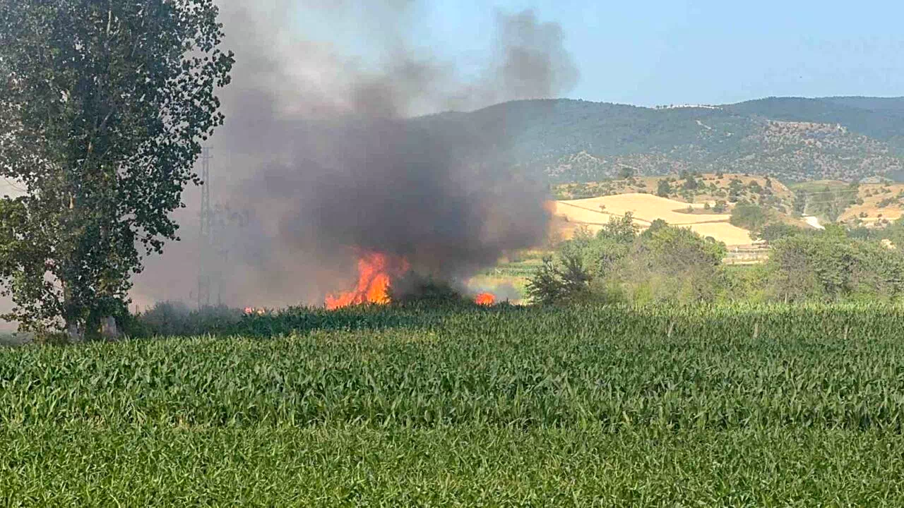 Kastamonu’da buğday tarlası alev alev yandı