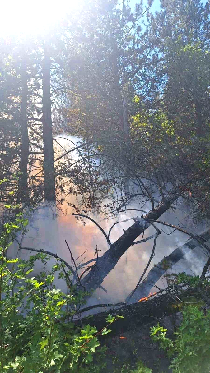 Kastamonu’da çıkan orman yangınında 2 dekar alan zarar gördü