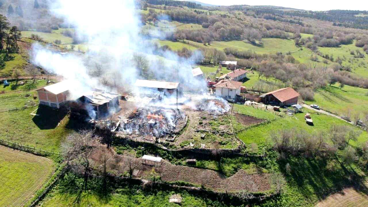 Kastamonu’da elektrik panosu patladı: 3 ev ve 3 ahır küle döndü
