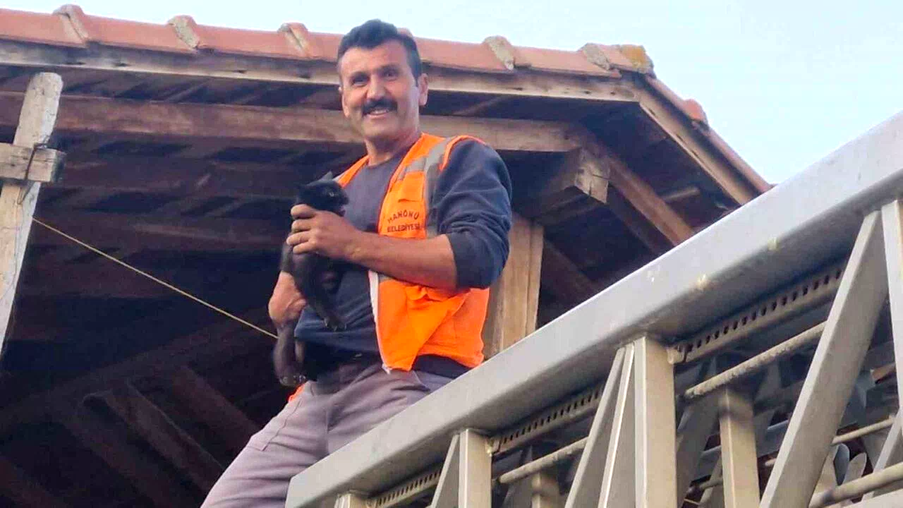 Kastamonu’da evin çatısında mahsur kalan kediyi itfaiye ekipleri kurtardı