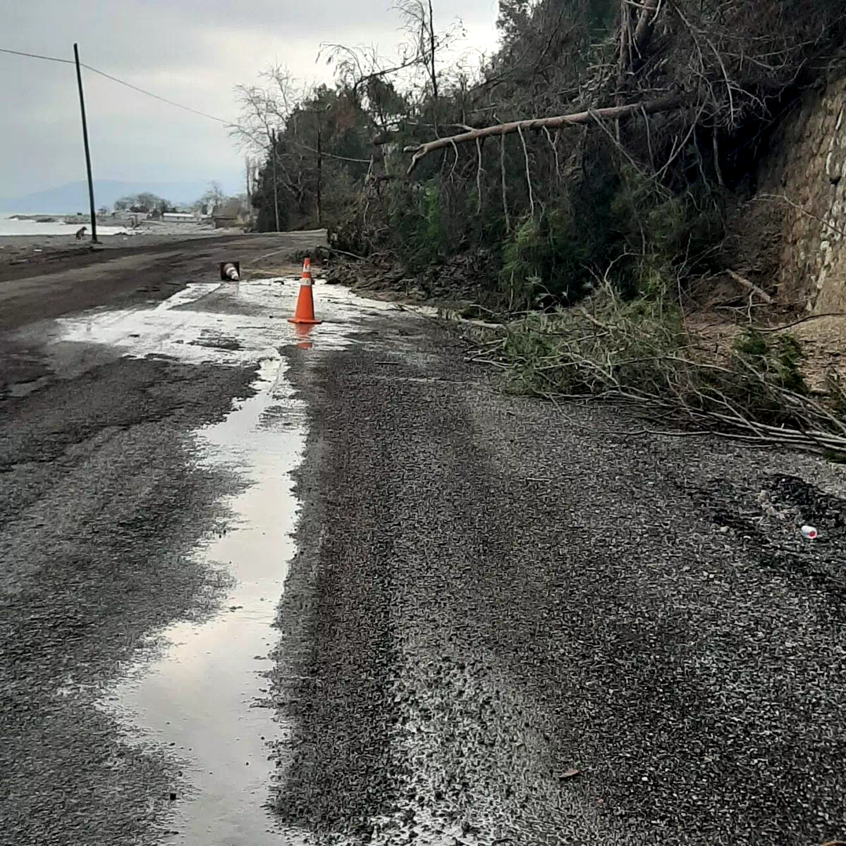 Kastamonu’da heyelanda istinat duvarını aşan ağaçlar yola kadar geldi