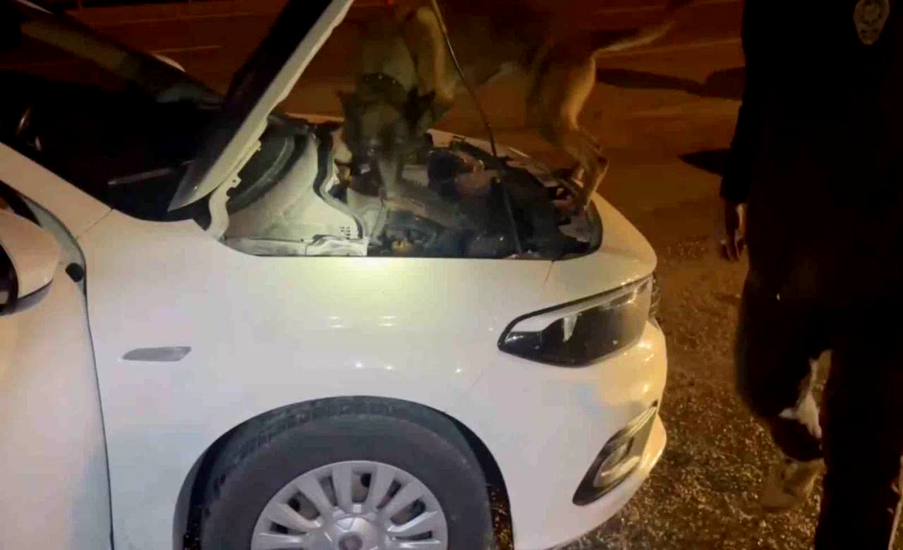 Kastamonu’da uyuşturucu operasyonu: 5 tutuklama