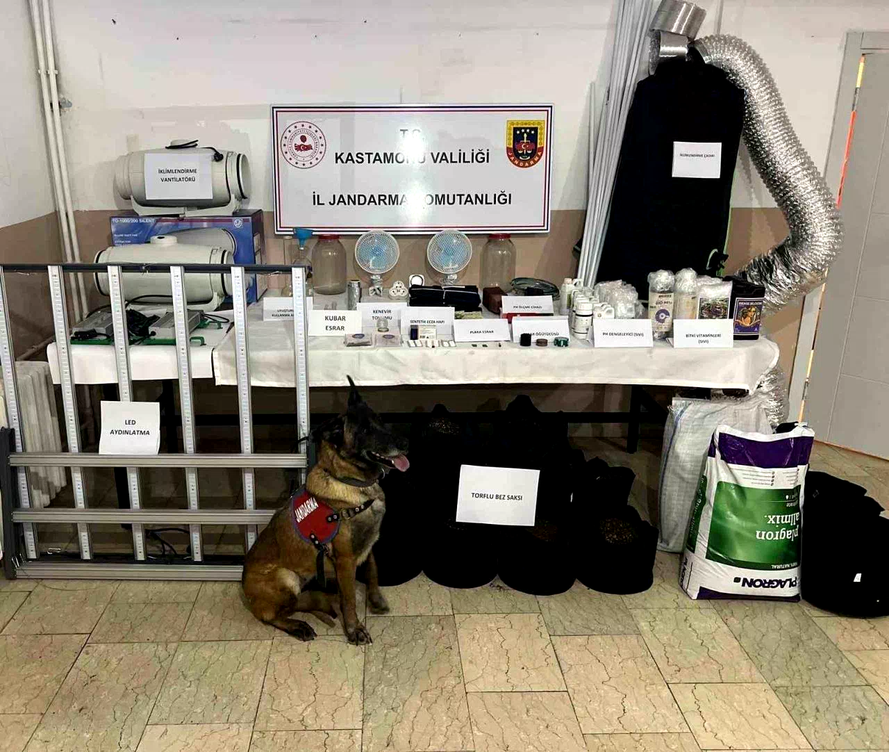 Kastamonu’da uyuşturucu operasyonu: 6 gözaltı