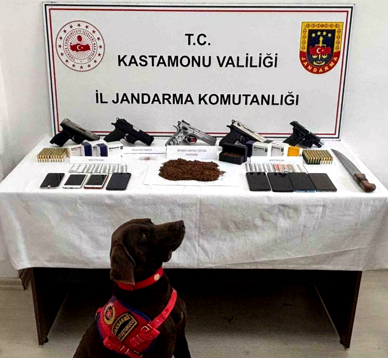 Kastamonu’da uyuşturucu ve silah operasyonu: 3 tutuklama