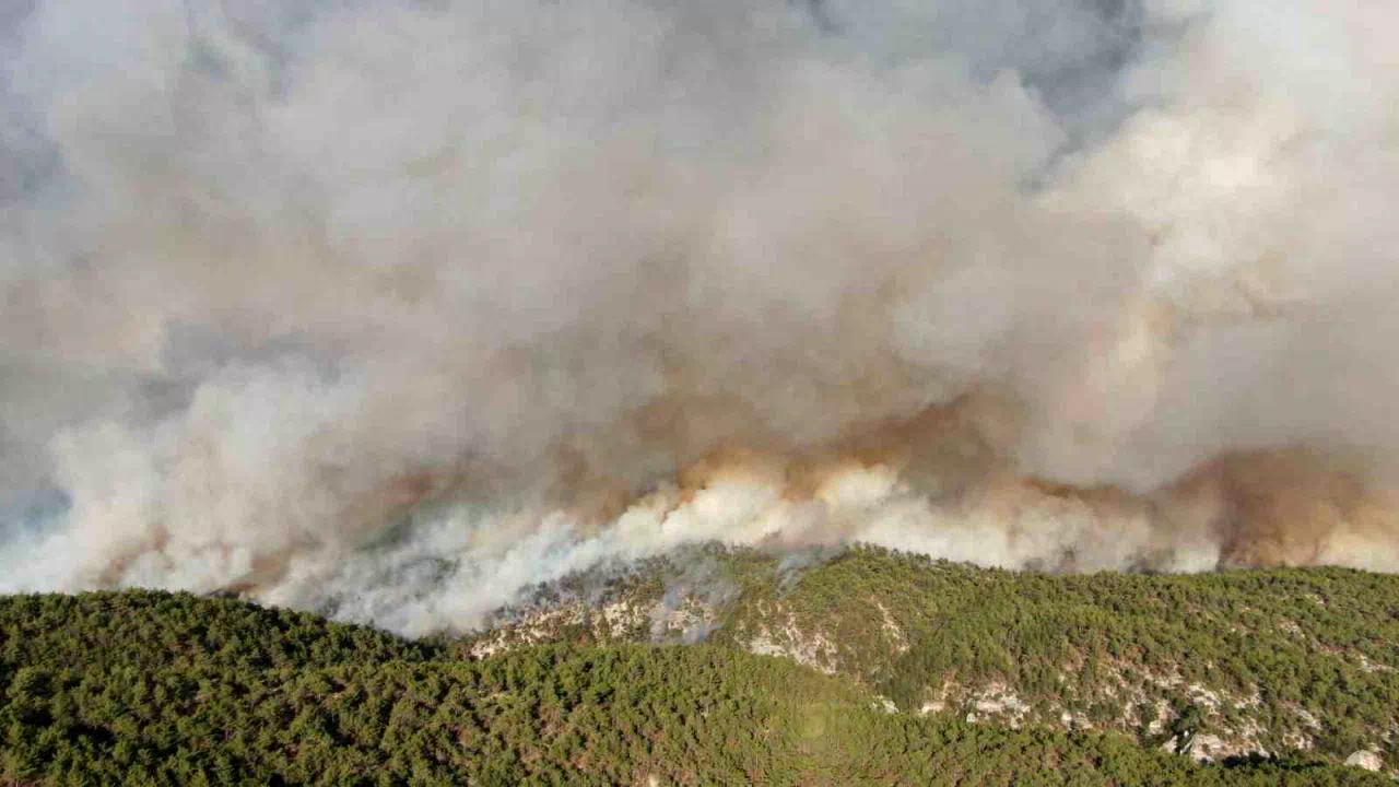 Kastamonu’daki orman yangınlarında 2 bin 736 hektar alan zarar gördü