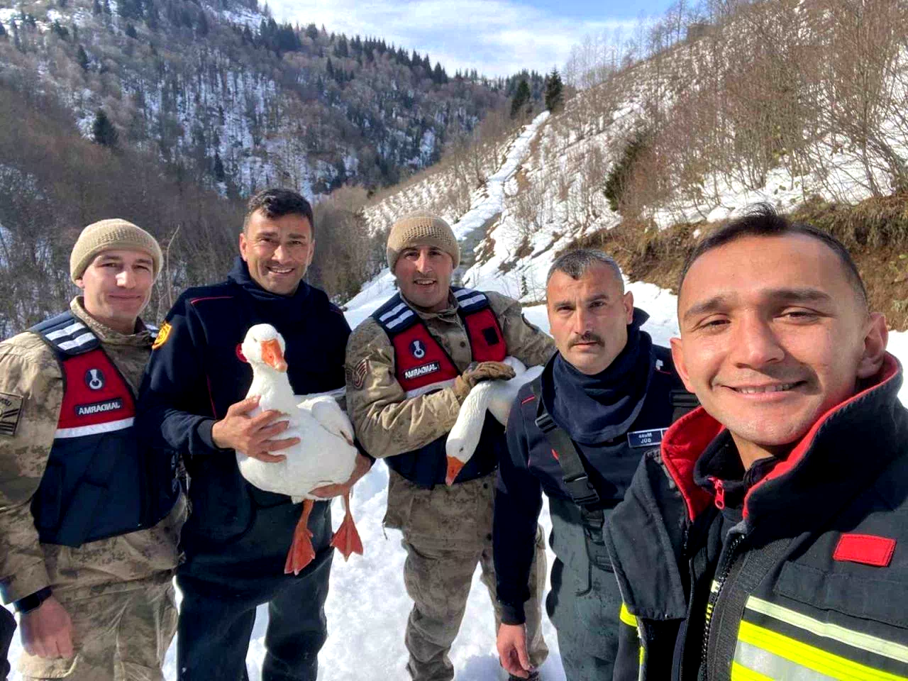Kayıp kazlar üç gün sonra dere yatağında bulundu