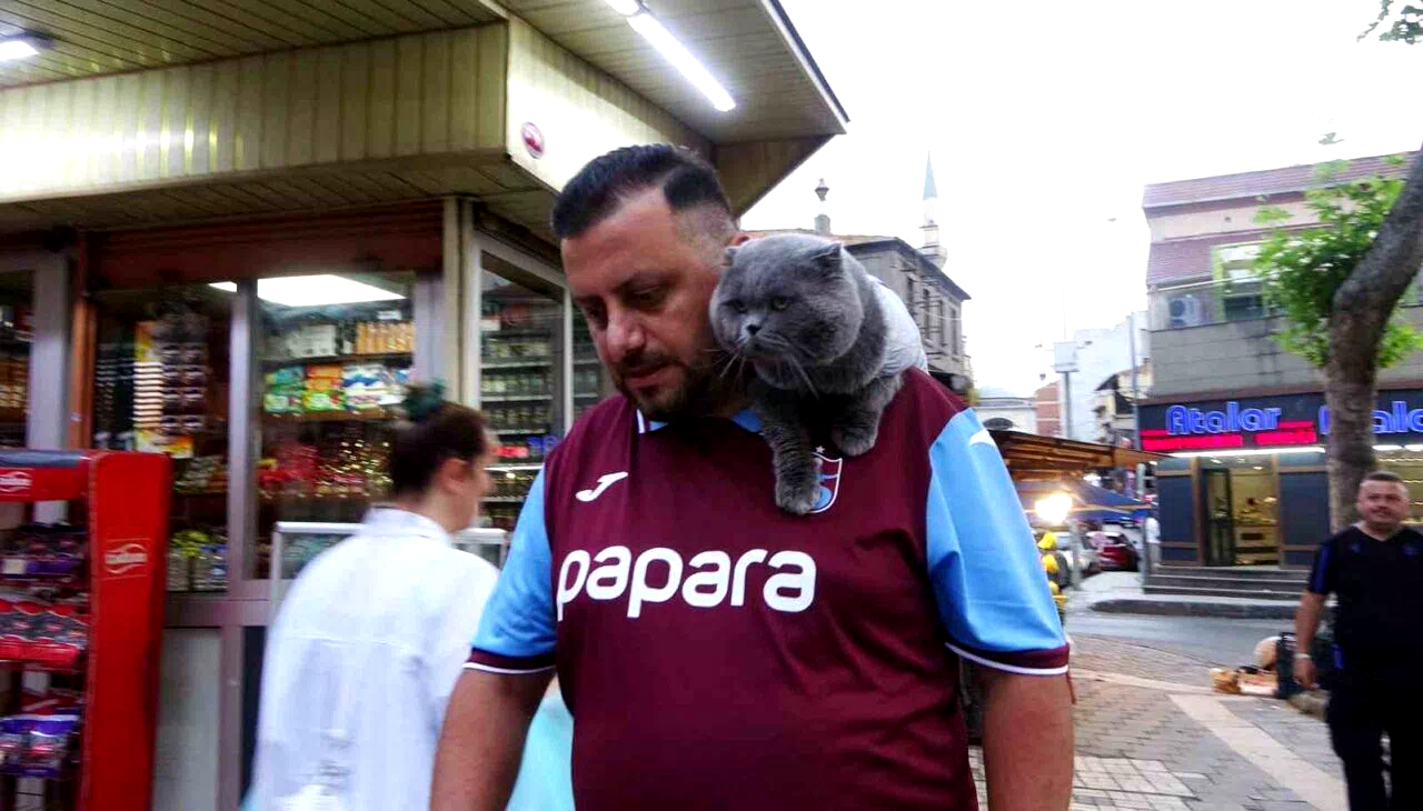 Kayıp kedi ’Tom’ 4 gün sonra bulundu