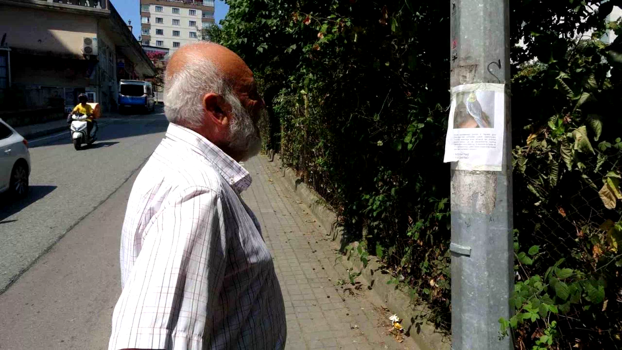 Kayıp papağanı ’Duman’ için yollara düştü