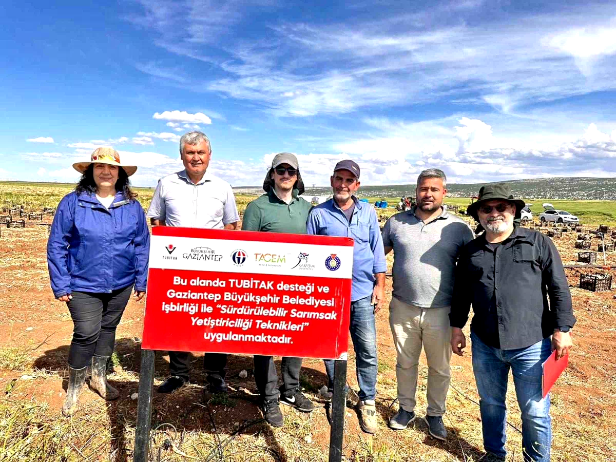 KBÜ’den sarımsak hastalıklarının tespitine yönelik projeye katkı